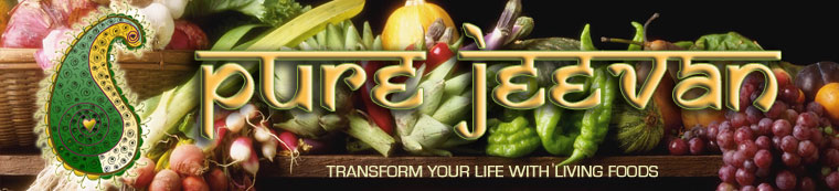 Pure Jeevan Banner -- Transform Your Life with Raw foods / Living Foods !!